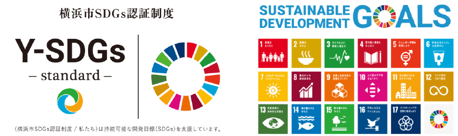 Y-SDGs